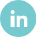 LI icon by Kristian Livolsi