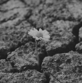 Live with Purpose
