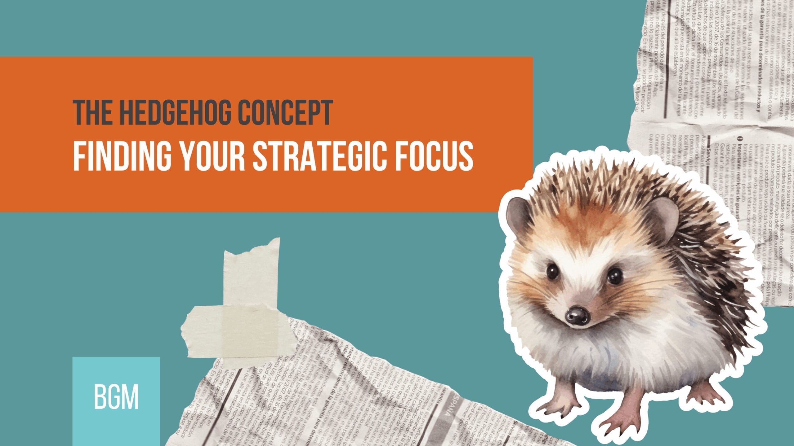 Hedgehog concept infographic featuring a stylized hedgehog illustration over a background of newspaper clippings and a teal workspace.